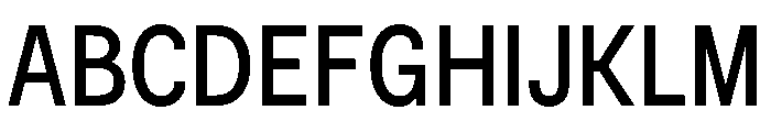 BSNotion Book Font UPPERCASE