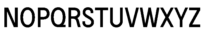 BSNotion Book Font UPPERCASE