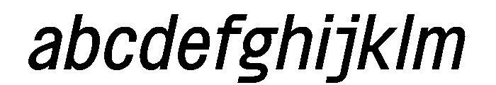 BSNotion BookItalic Instance FONT