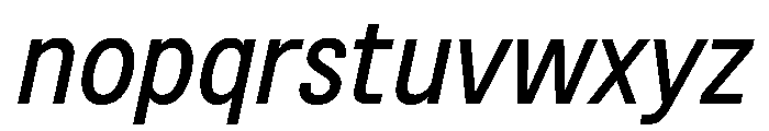 BSNotion BookItalic Instance Font LOWERCASE