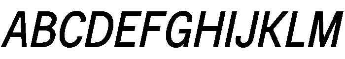 BSNotion BookItalic Font UPPERCASE