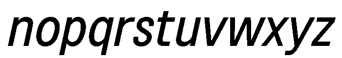 BSNotion BookItalic Font LOWERCASE