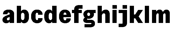 BSNotion Extrabold Instance FONT