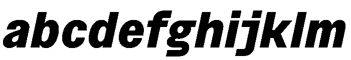 BSNotion ExtraboldItalic Instance FONT