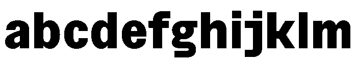 BSNotion Extrabold FONT