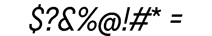 BSNotion Italic Instance Font OTHER CHARS