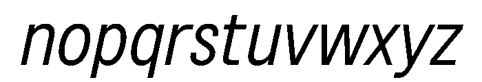 BSNotion Italic Instance Font LOWERCASE