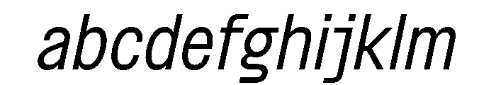 BSNotion Italic FONT