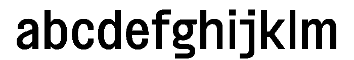 BSNotion Medium Instance FONT
