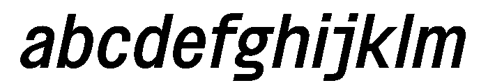 BSNotion MediumItalic Instance FONT