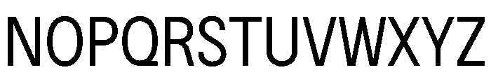 BSNotion Regular Instance Font UPPERCASE