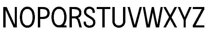 BSNotion Regular Font UPPERCASE