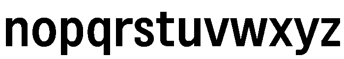 BSNotion Semibold Instance Font LOWERCASE