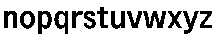 BSNotion Semibold Font LOWERCASE