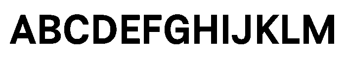 BSResortSans Bold Instance Font UPPERCASE