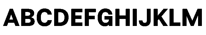 BSResortSans Extrabold Instance Font UPPERCASE