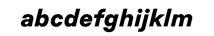 BSResortSans ExtraboldItalic Instance FONT
