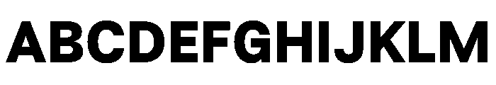 BSResortSans Heavy Instance Font UPPERCASE