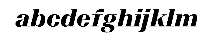 BSResortSerif BlackItalic Instance FONT