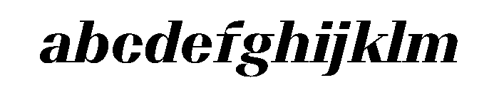 BSResortSerif HeavyItalic Instance FONT