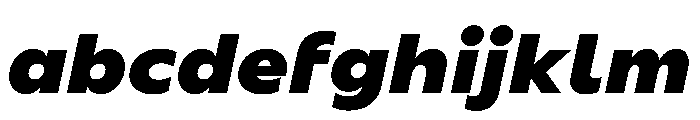 BSSynthetik BlackItalic Instance FONT