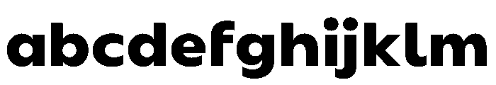 BSSynthetik Bold Instance FONT