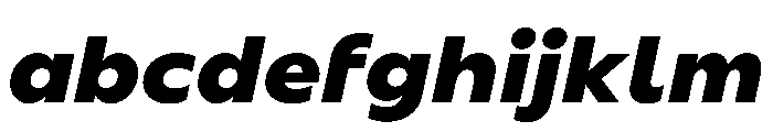 BSSynthetik ExtraboldItalic Instance FONT