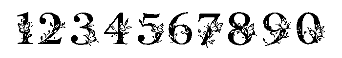 Btzfloralbutterfly Font OTHER CHARS