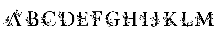 Btzfloralbutterfly FONT