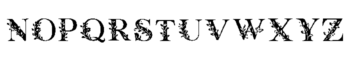 Btzfloralswirls Font LOWERCASE