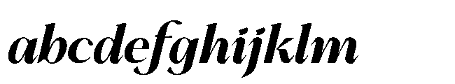 BT Annam Neue Black Italic FONT