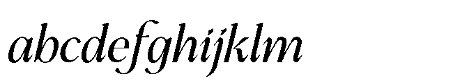 BT Annam Neue Italic FONT