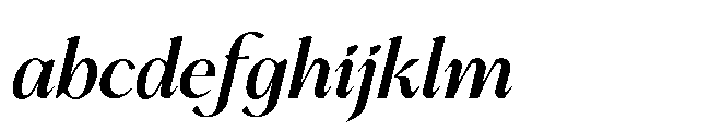 BT Annam Neue Semi Bold Italic FONT