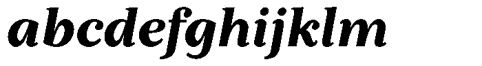 BT Circuit Black Italic 10 FONT