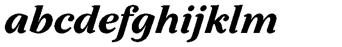 BT Circuit Black Italic 17 FONT