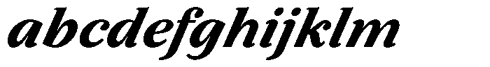 BT Circuit Black Italic 24 FONT