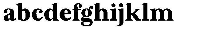 BT Circuit Black FONT
