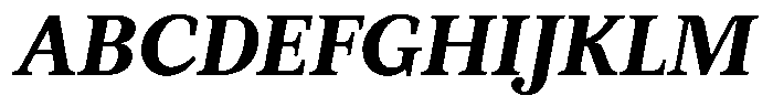 BT Circuit Bold Italic 10 Font UPPERCASE