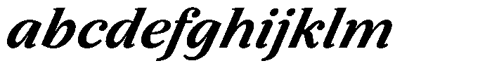 BT Circuit Bold Italic 24 FONT