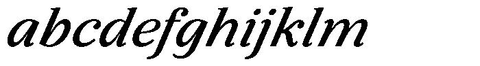 BT Circuit Medium Italic 24 FONT