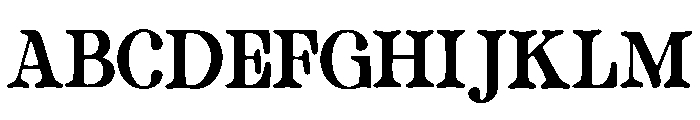 Buckaroo_Bold Font UPPERCASE