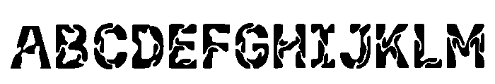 Bun Regular FONT