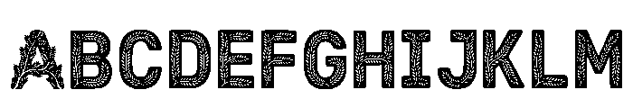 Bush Regular FONT