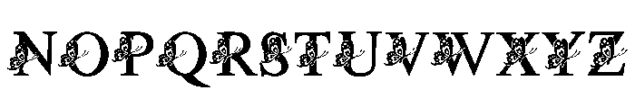 Butterfly Vintage Font UPPERCASE