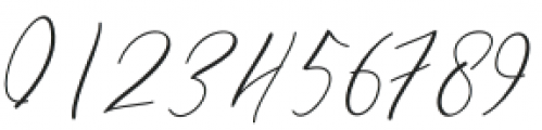 Buckinghamshire Script Regular otf (400) Font OTHER CHARS