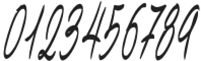 Bundey Script Bold Italic otf (700) Font OTHER CHARS