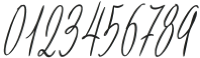 Bundey Script Italic otf (400) Font OTHER CHARS