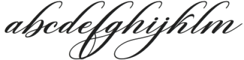 Burberry Script Slant Regular otf (400) Font LOWERCASE