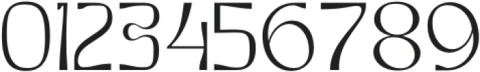 Burra Light Condensed otf (300) Font OTHER CHARS