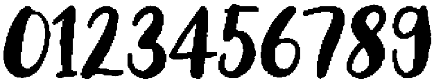 Bushwick Regular otf (400) Font OTHER CHARS